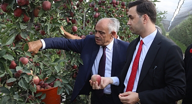 ELMA HASADI BAŞLADI