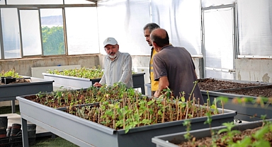 TÜRKİYE’NİN EN KAPSAMLI FİDANLIĞI