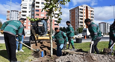GELECEK İÇİN YAPILACAK EN ÖNEMLİ YATIRIM AĞAÇ DİKMEKTİR