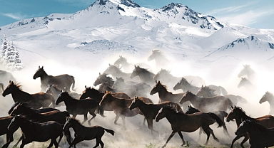 “HÜRMETÇİ SAZLIĞI” İÇİN İŞ BİRLİĞİ