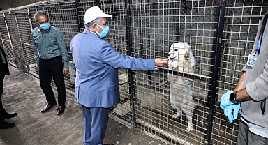 KAPSAMLI İŞBİRLİĞİ