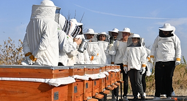 ARICILIK SEKTÖRÜNE NİTELİKLİ ELEMAN 