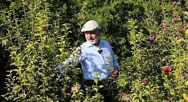 “YEŞİL ALANDA DA REKOR ÜSTÜNE REKOR KIRDIK”