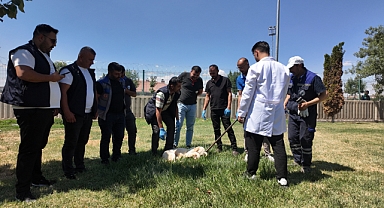 SOKAK HAYVANLARINI TOPLAMA EĞİTİMİ VE MAMA DESTEĞİ