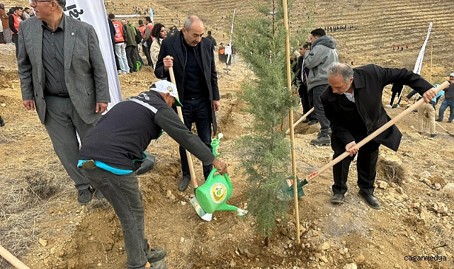 ALİ DAĞININ ZİRVESİNE 1111 FİDAN