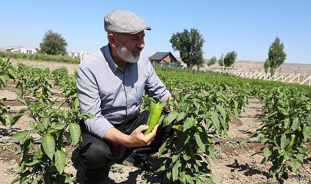 ÇİFTÇİMİZE YENİ KAZANÇ KAPISI AÇIYORUZ