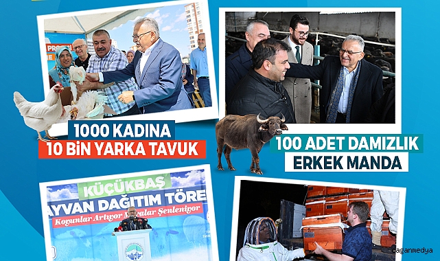 KAYSERİ, HAYVANCILIKTA YÜKSELİŞTE
