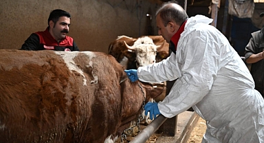 ŞAP AŞILAMA KAMPANYASI BAŞLADI