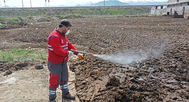 ÇEVRECİ VE BİLİMSEL YÖNTEMLERLE HAŞERE MÜCADELESİ