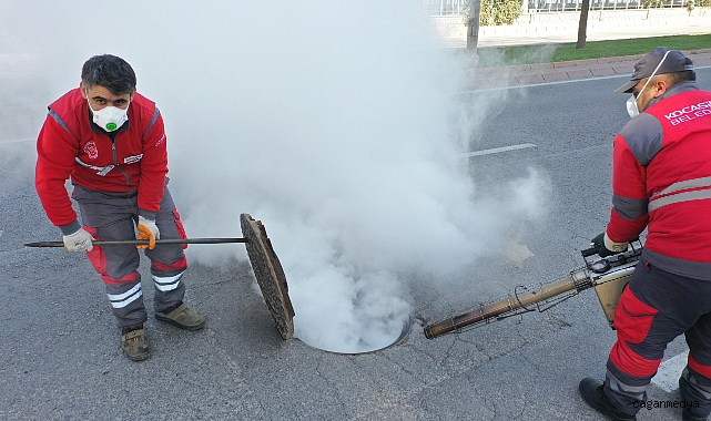 ÇEVRECİ VE BİLİMSEL YÖNTEMLERLE HAŞERE MÜCADELESİ