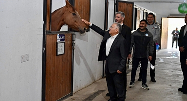 BİNİCİLİK TESİSİNDE İNCELEME