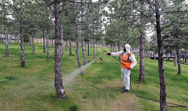 HAŞERATLA MÜCADELE SEFERBERLİĞİ BAŞLADI