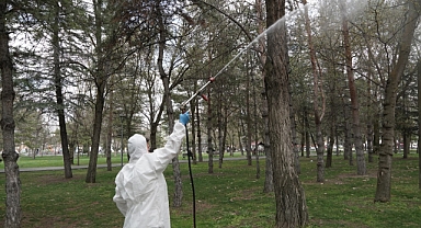 HAŞERESİZ VE SİVRİSİNEKSİZ BİR YAZ İÇİN İLAÇLAMA 