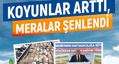 KENDİ KENDİNİ BÜYÜTEN MODEL