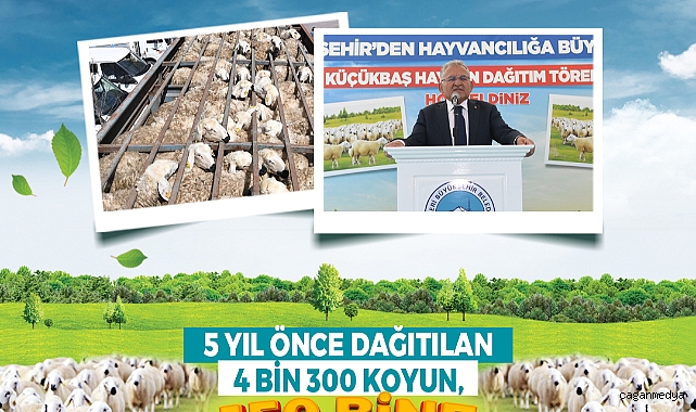 KENDİ KENDİNİ BÜYÜTEN MODEL