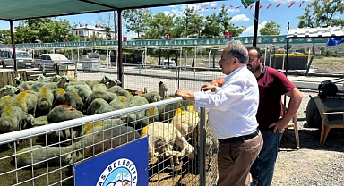 KURBAN PAZARI BAŞVURU TARİHİ BELLİ OLDU