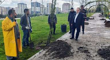 ÇİÇEK ŞENLİĞİ START ALIYOR