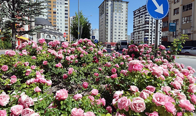 ÇİÇEK YILINDA SAHNE GÜLLERİN