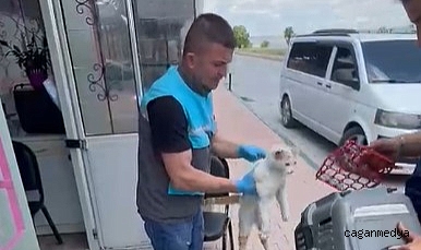 PATİLİ DOSTA ZAMANINDA MÜDAHALE