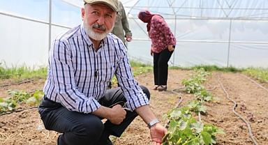 TARIMSAL ÜRETİM DİKKAT ÇEKİYOR